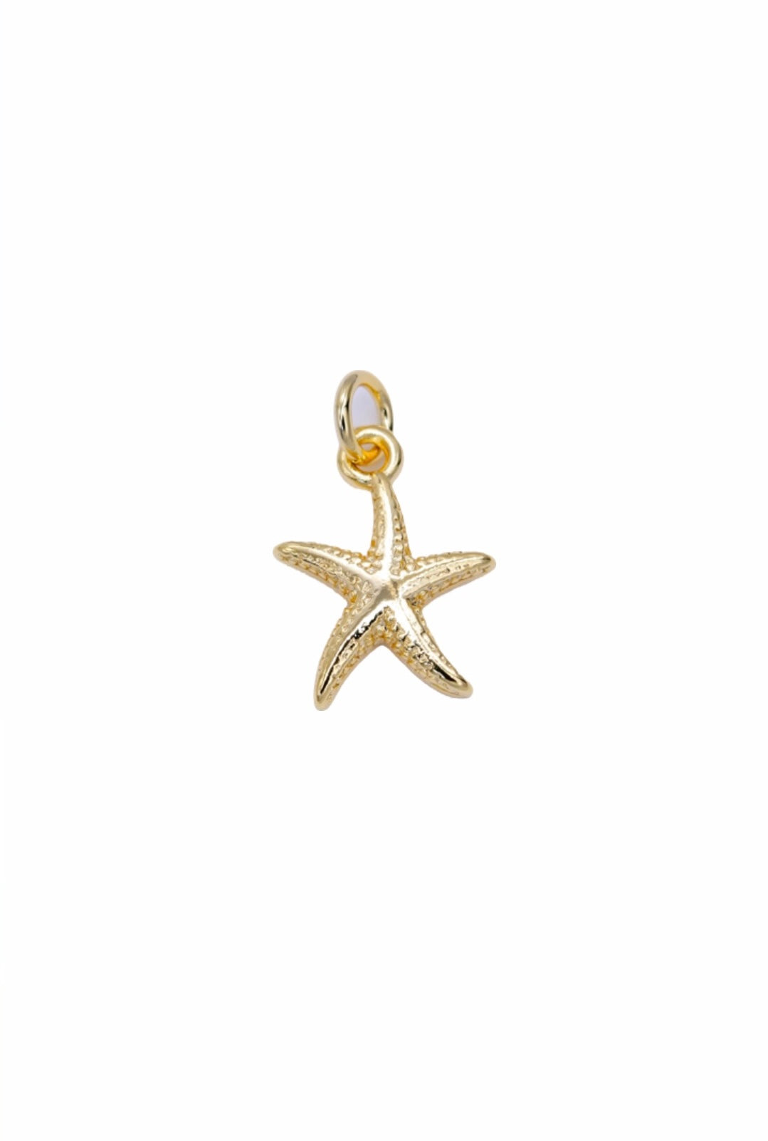 Gold dainty starfish