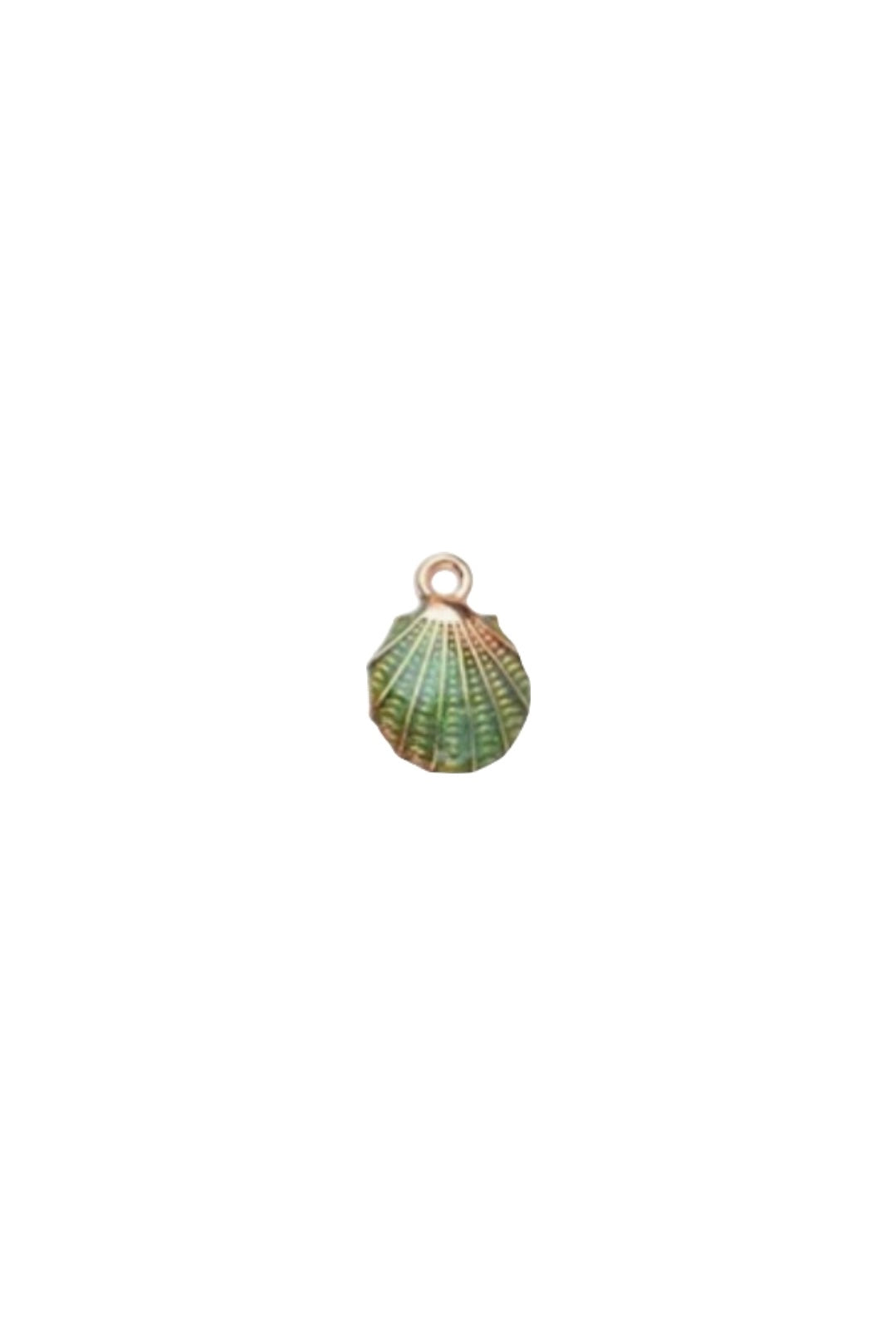 Colorful shell