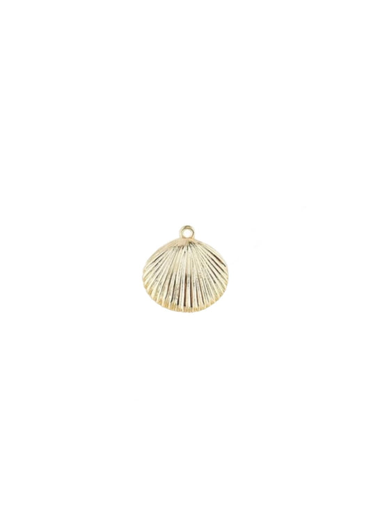 Large shell