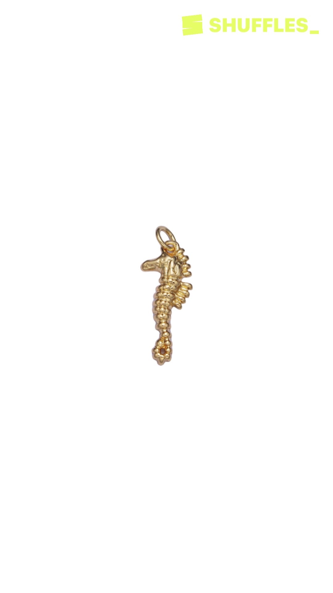 Seahorse charm